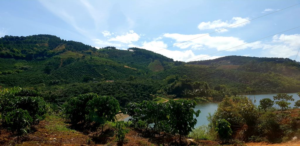 Satt grüne Wälder auf dem Weg nach Da Lat