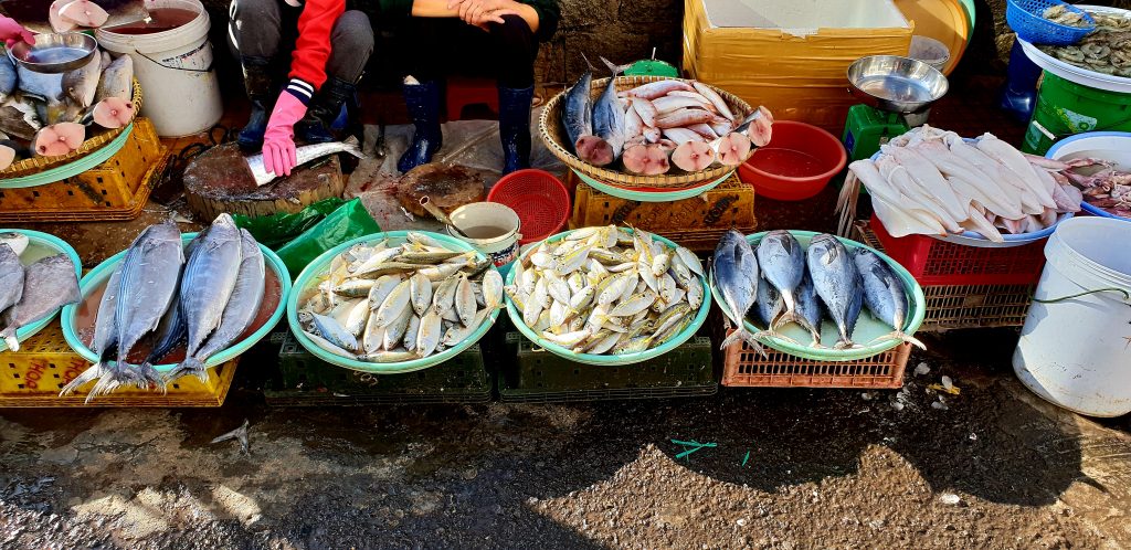 Fischmarkt auf der Straße direkt vor unserem Homestay in Da Lat