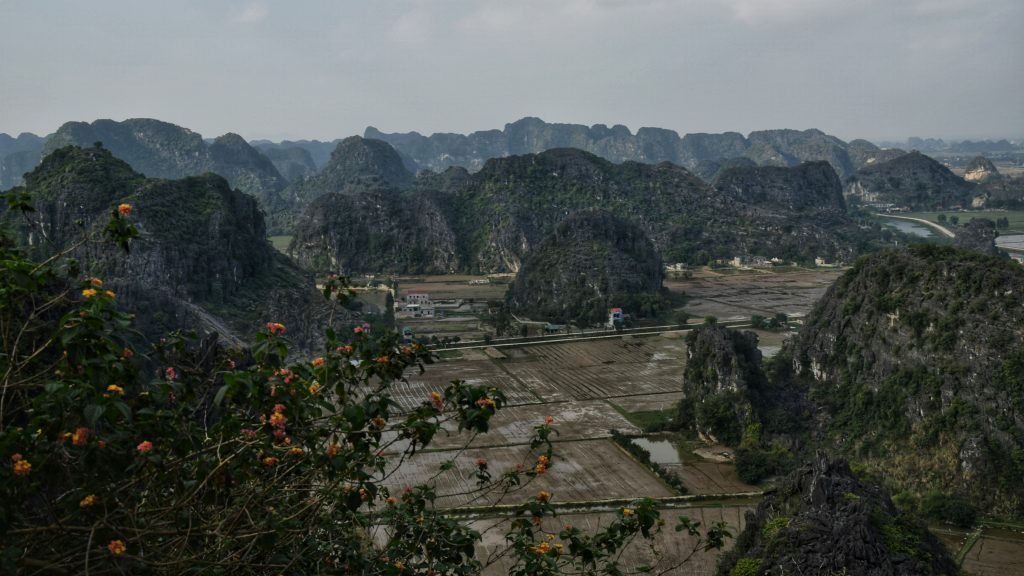 Ausblick vom Hong Mua Viewpoint auf die Reisfelder