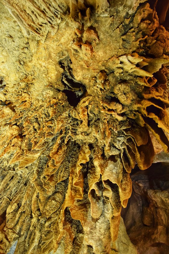 Blick an die Decke in der Paradise Cave